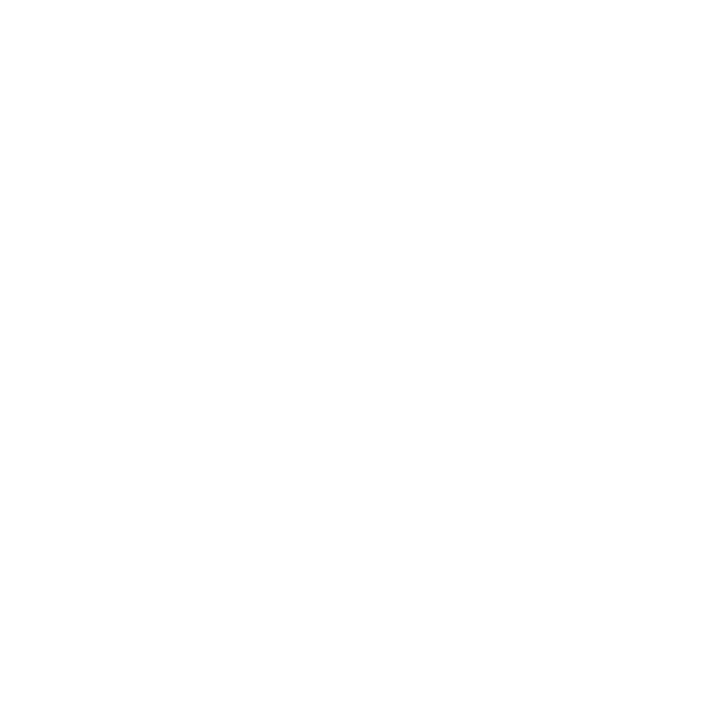 Logotipo de La Borriquilla en blanco, diseñado por Ikonox Marketing Digital, representando la esencia del Domingo de Ramos.